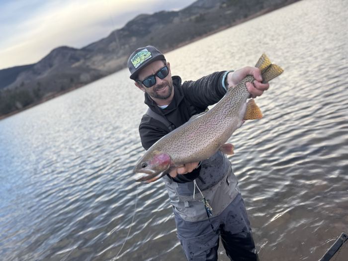 Eleven Mile Reservoir rainbow trout on a low-water spring day