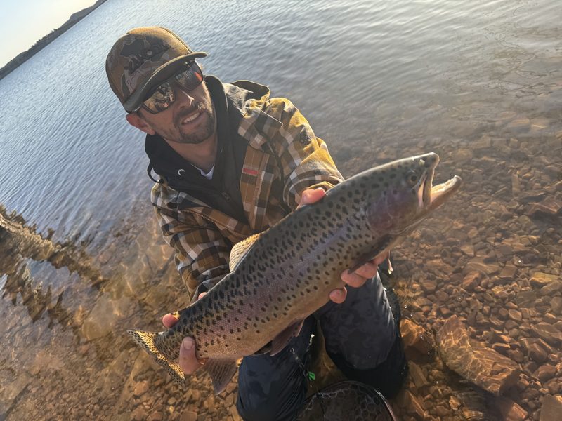 Trophy rainbow trout caught from a rocky shoreline during low-water conditions