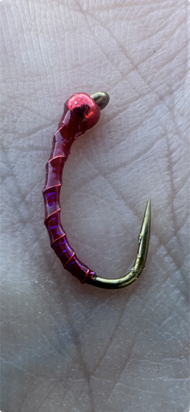 Secret Bloodworm — Trout Tricks Colorado stillwater fly pattern