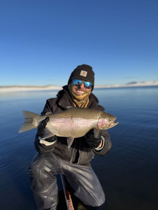 Bluebird-day rainbow trout taken on a chironomid before mid-day shutdown