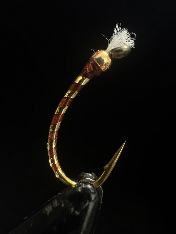 Chocolate Gold — Trout Tricks Colorado stillwater fly pattern