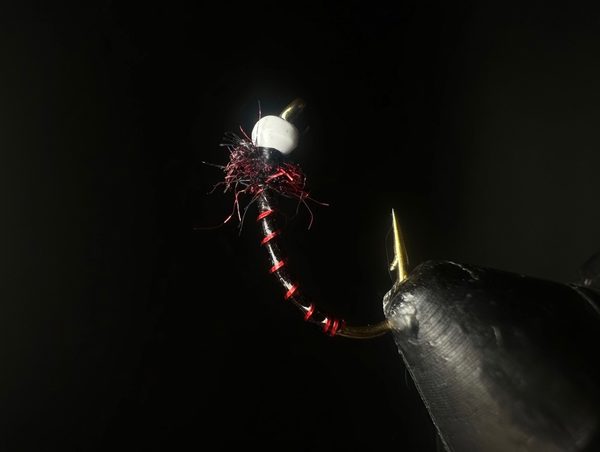 Snow Cone (Frank's Red Hot Ronnie) — Trout Tricks Colorado stillwater fly pattern
