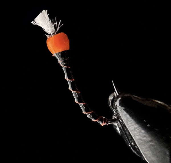 The Jersey Boy — Trout Tricks Colorado stillwater fly pattern