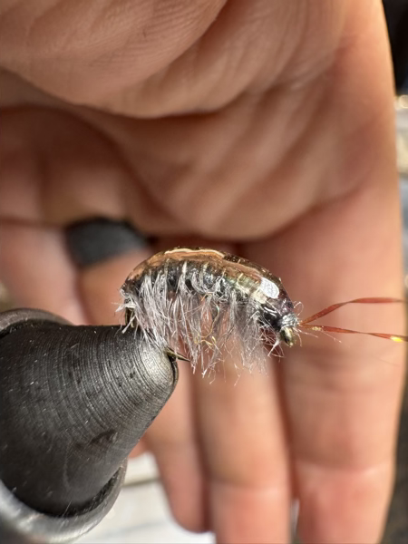Bling Scud — Trout Tricks Colorado stillwater fly pattern