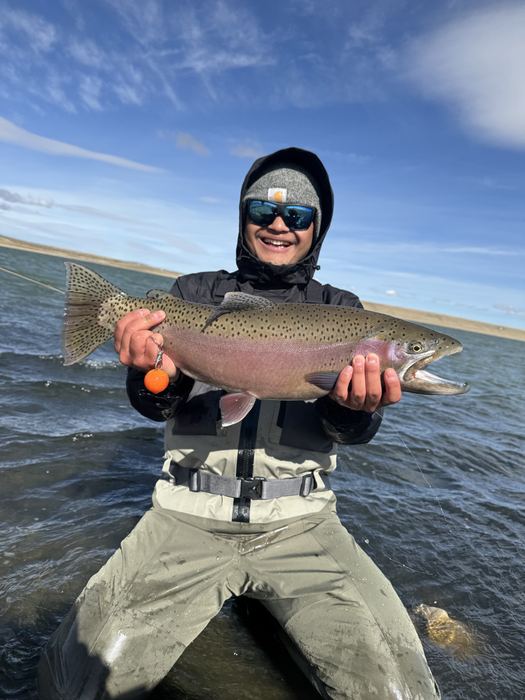 Spinney Mountain Reservoir cutbow taken on a chironomid in 52-degree water