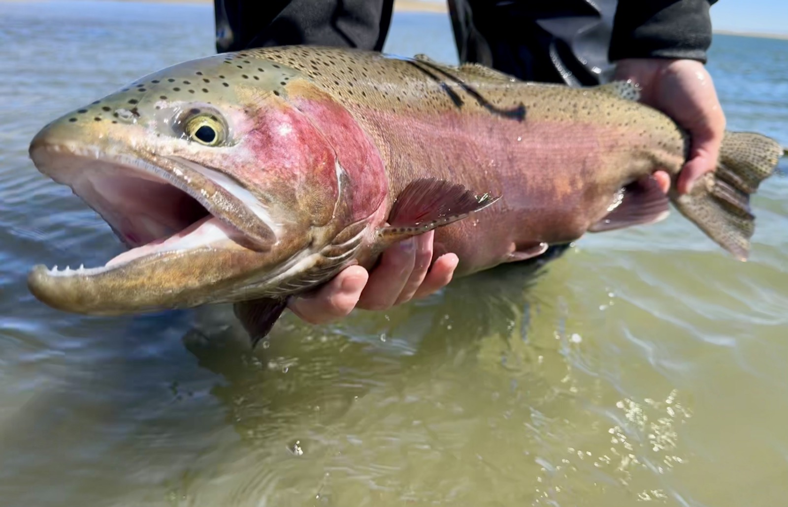 Stillwater fly fishing scene in Wyoming