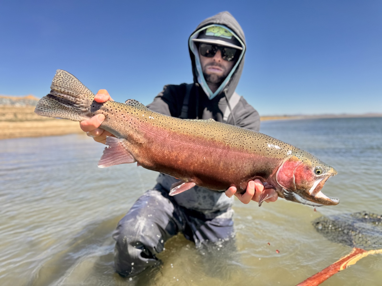 Wyoming stillwater trout fishing