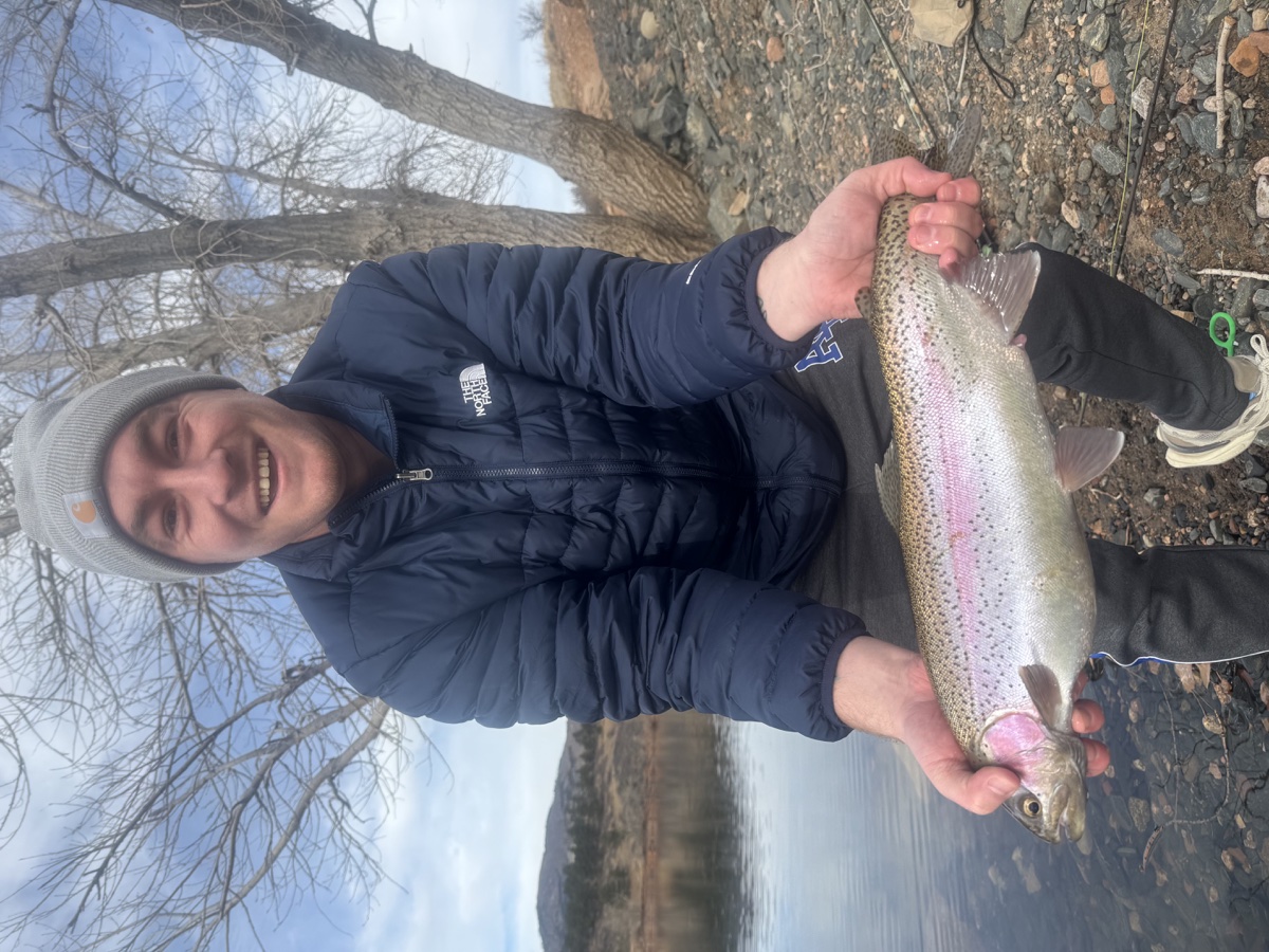Colorado trout 104