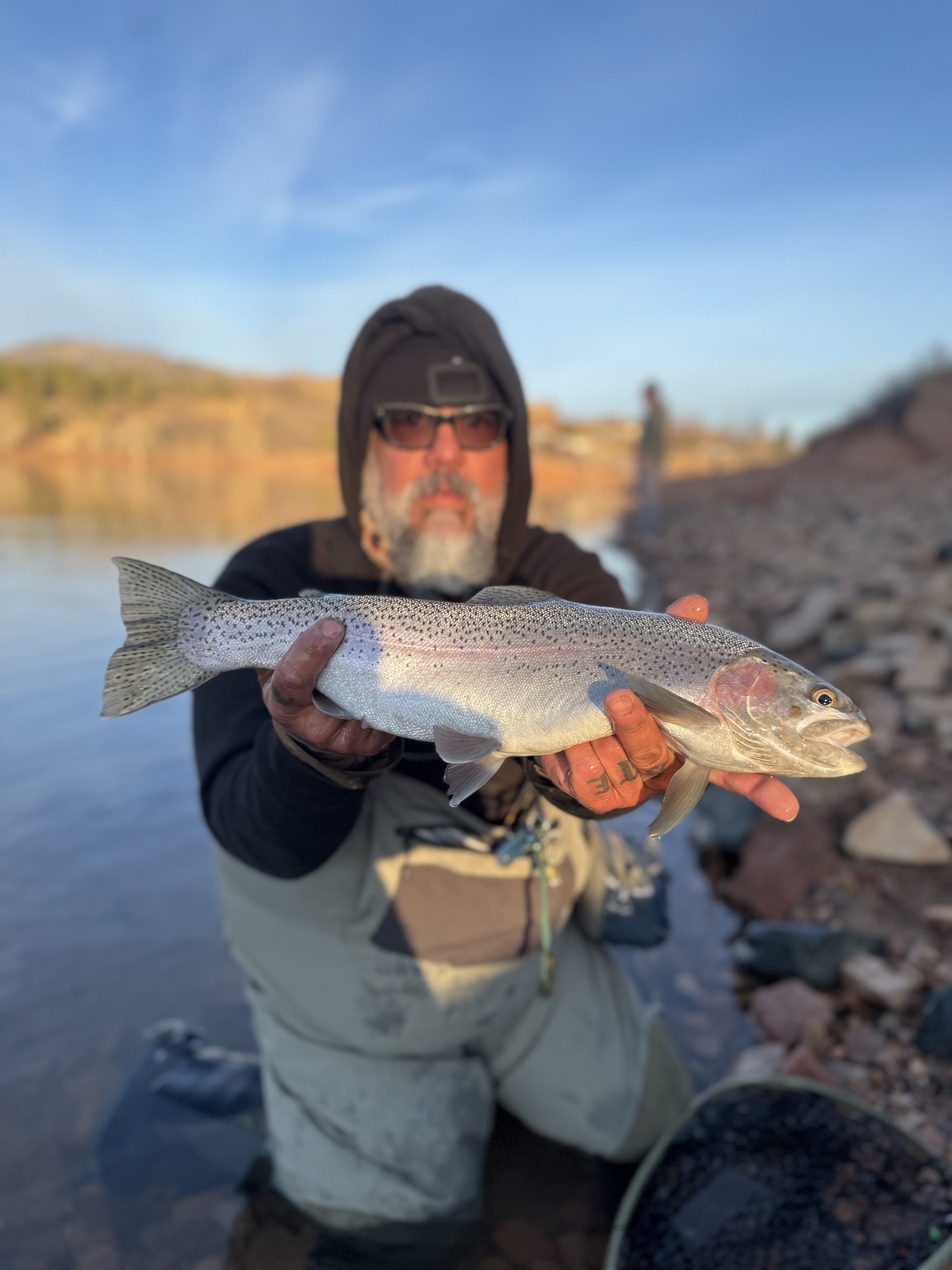 Colorado trout 105
