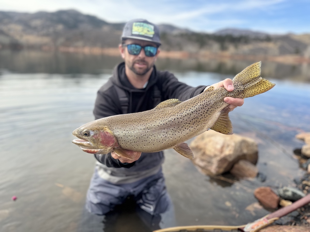 Colorado trout 107