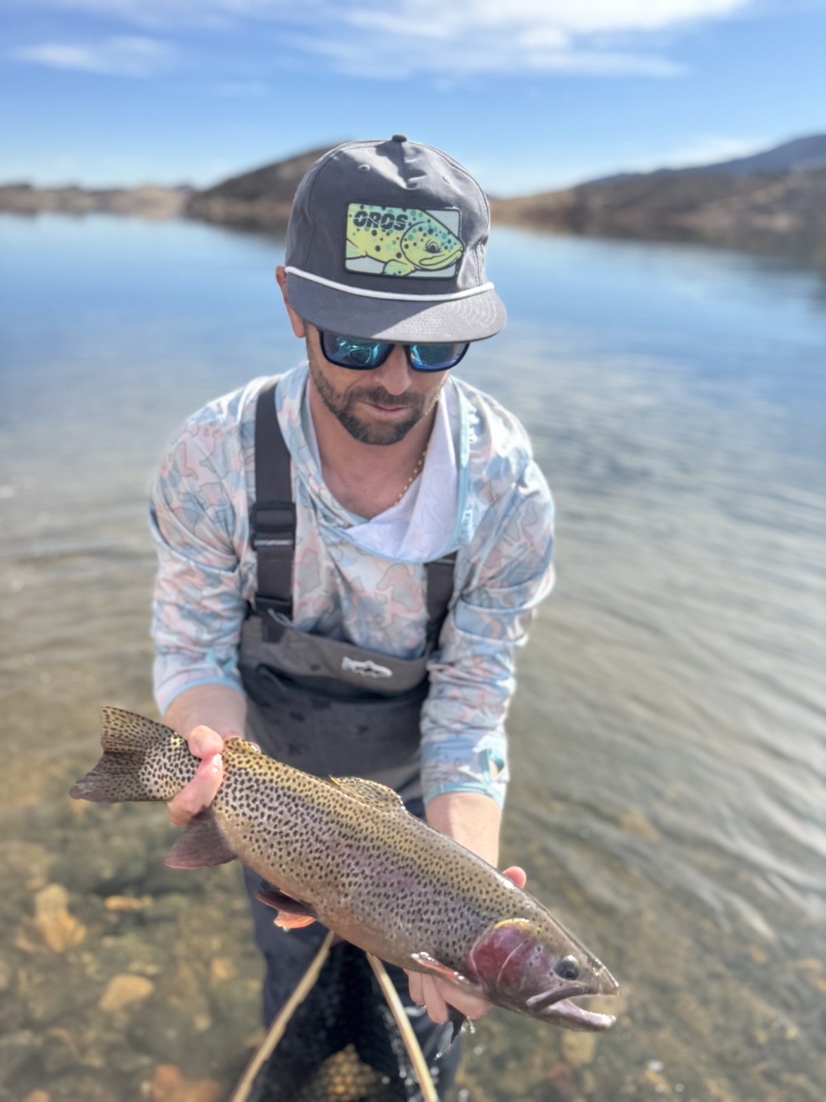 Colorado trout 108