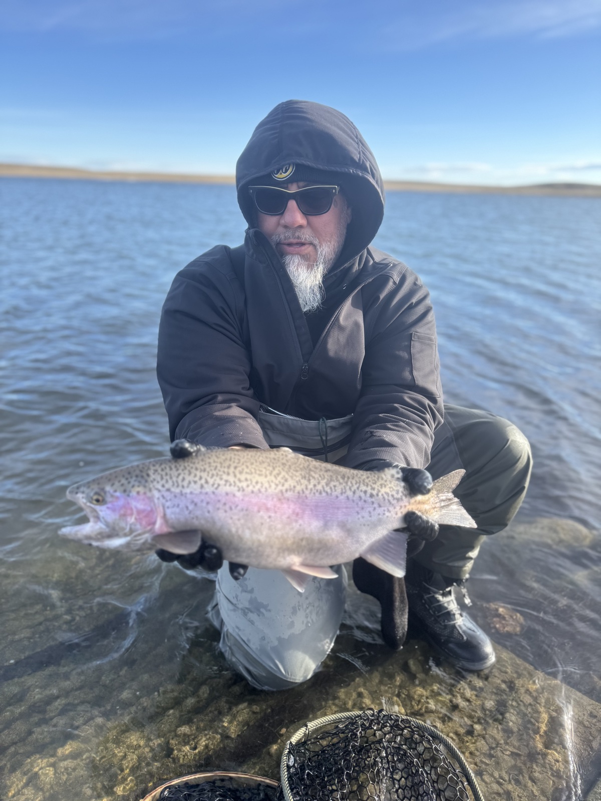 Colorado trout 11