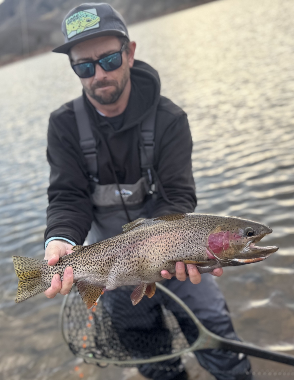 Colorado trout 109