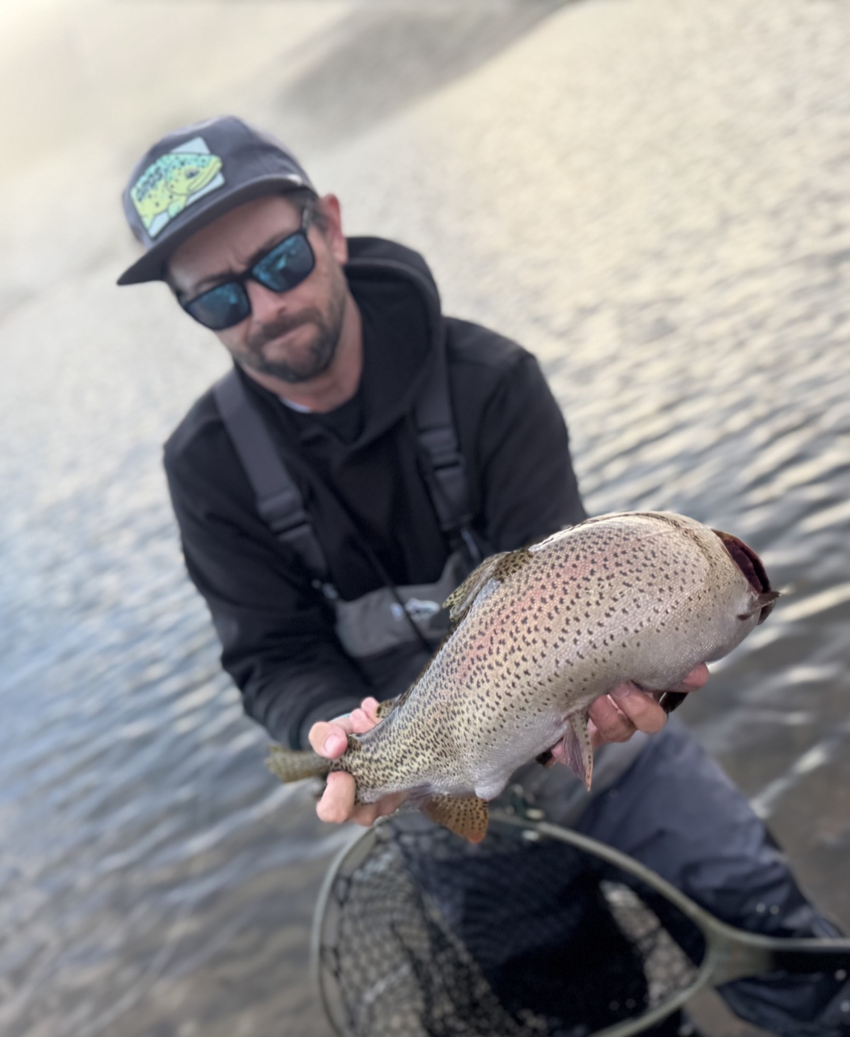 Colorado trout 110