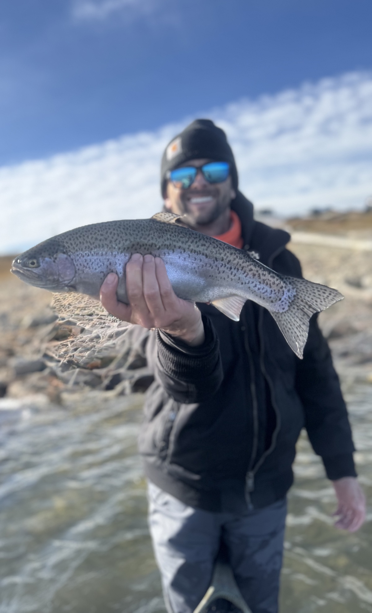 Colorado trout 12