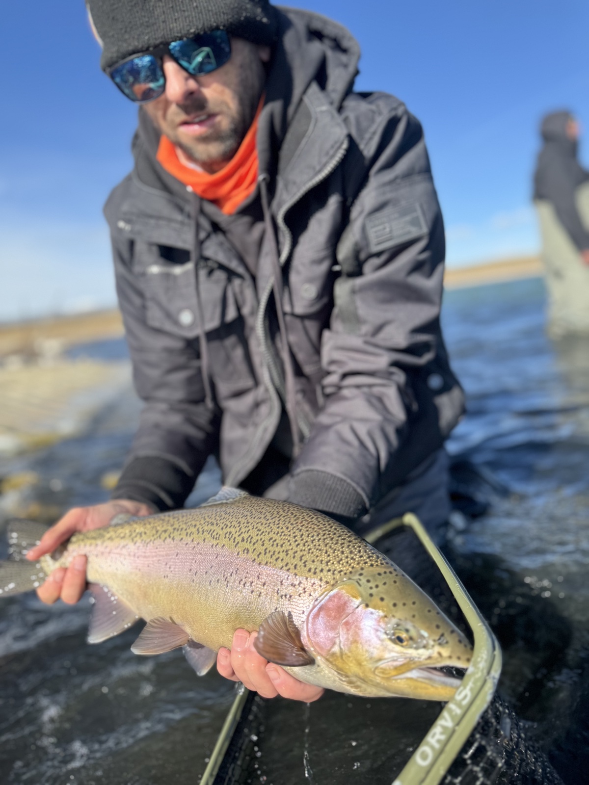 Colorado trout 13