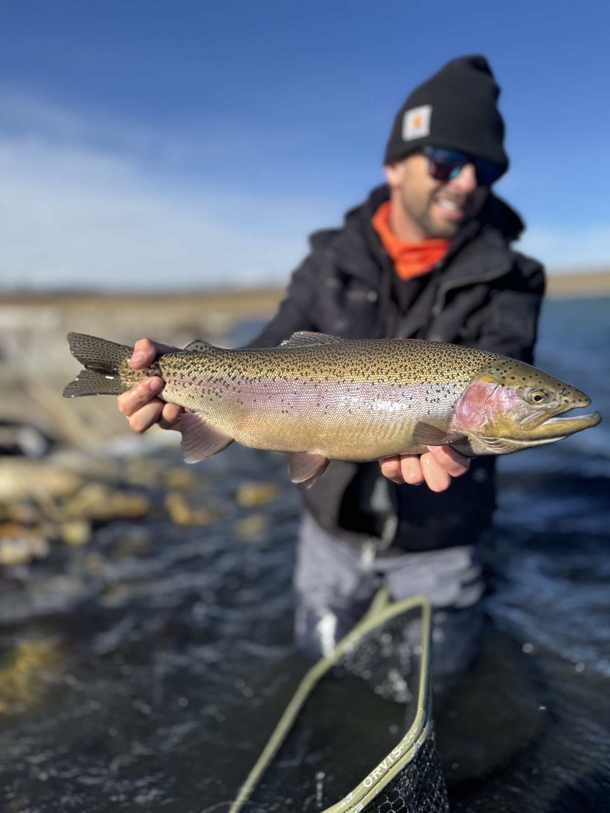Colorado trout 14