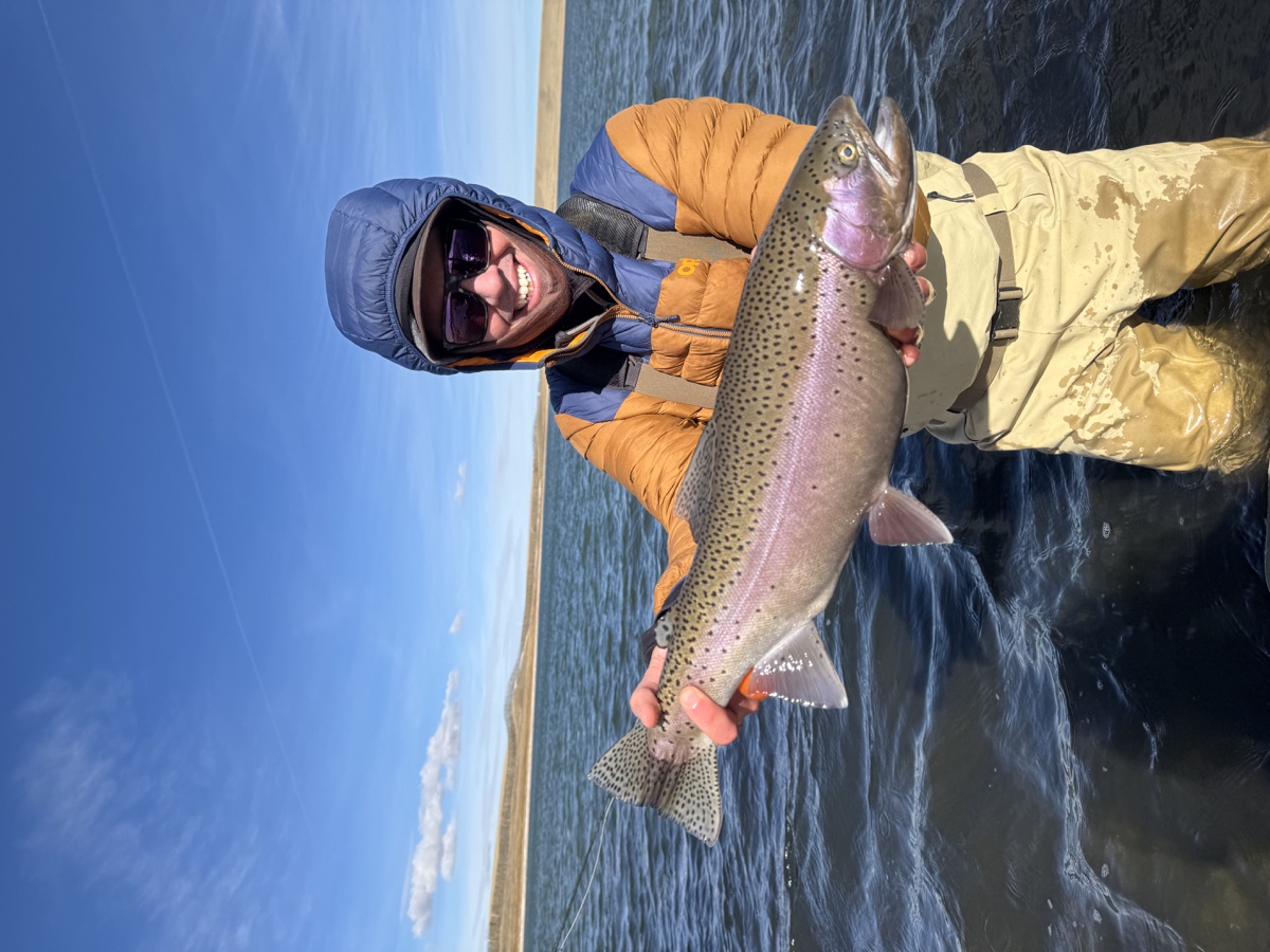 Colorado trout 16