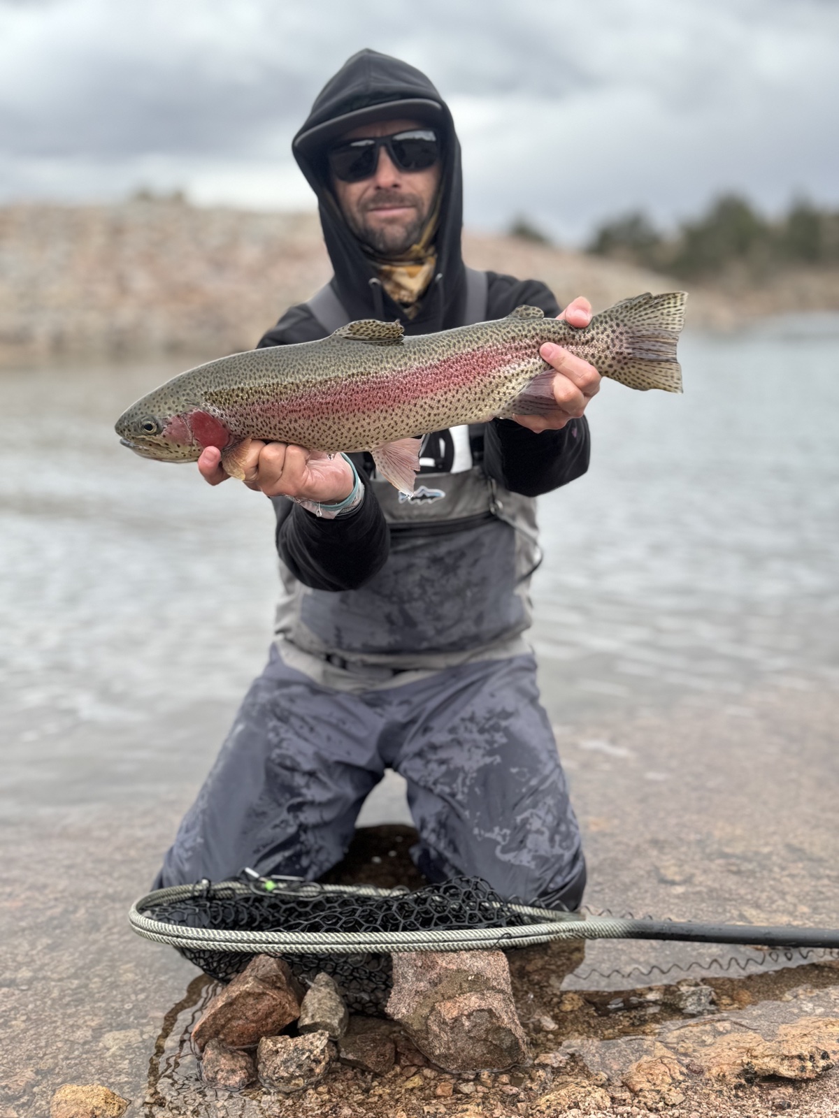 Colorado trout 20