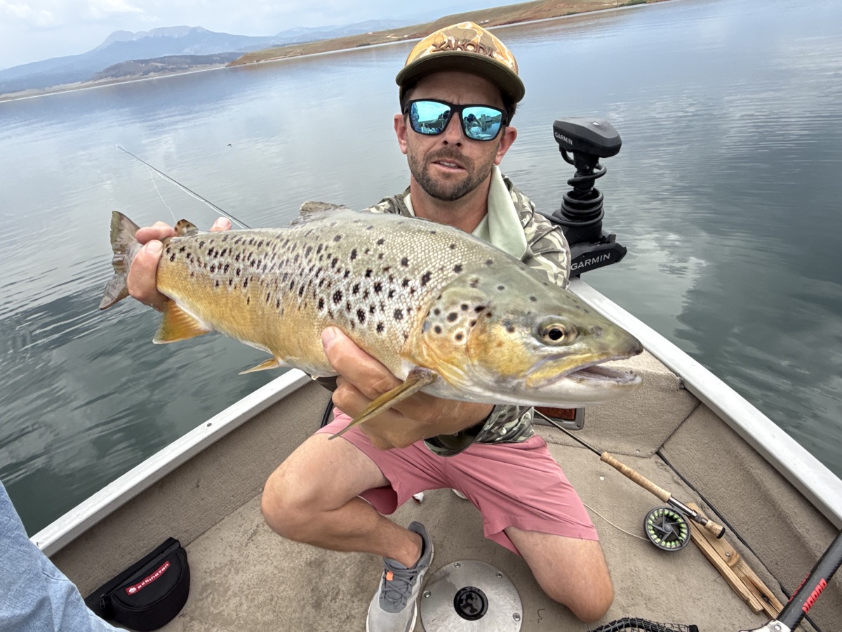 Colorado trout 21