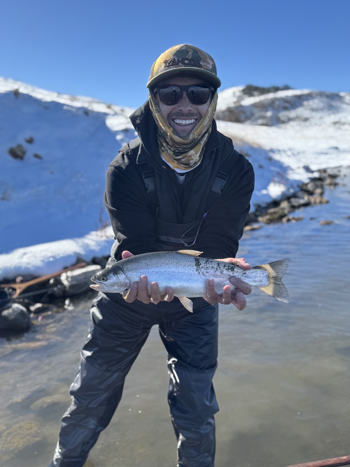 Colorado trout 22
