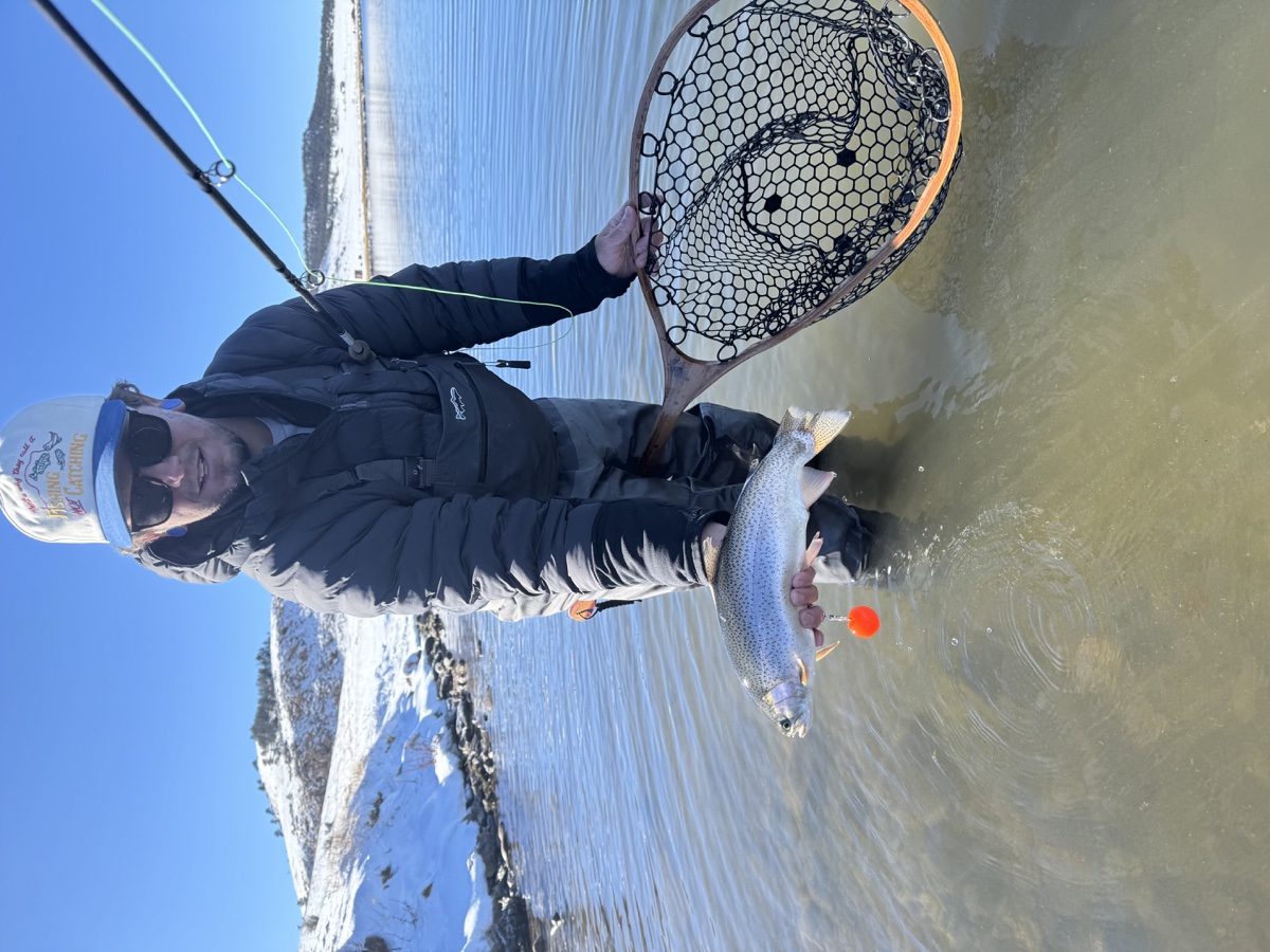 Colorado trout 23