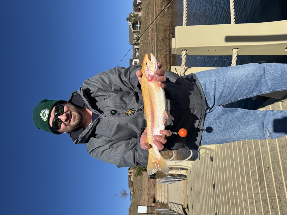Colorado trout 28