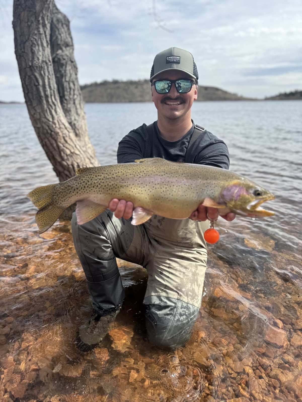 Colorado trout 29