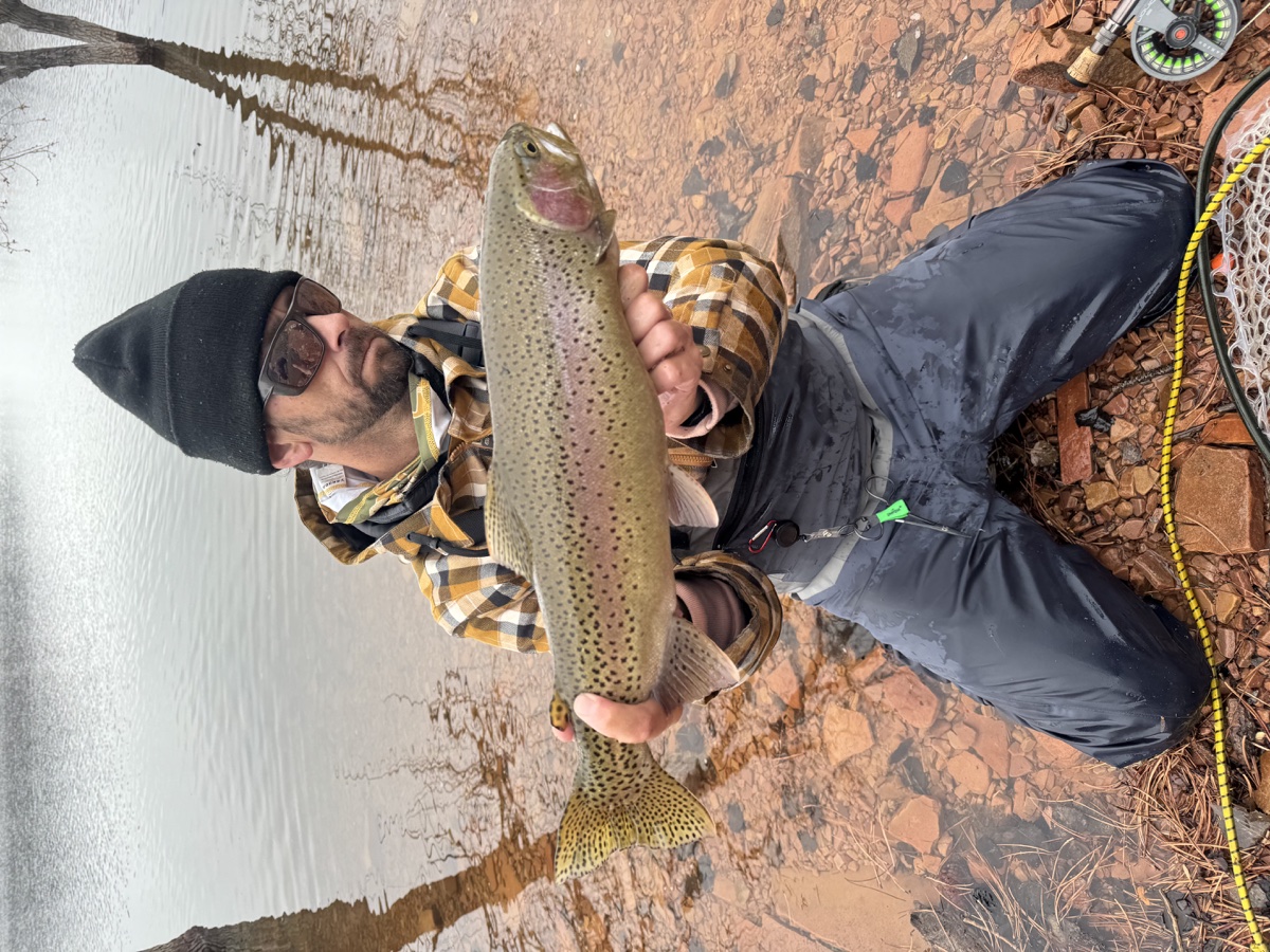 Colorado trout 31