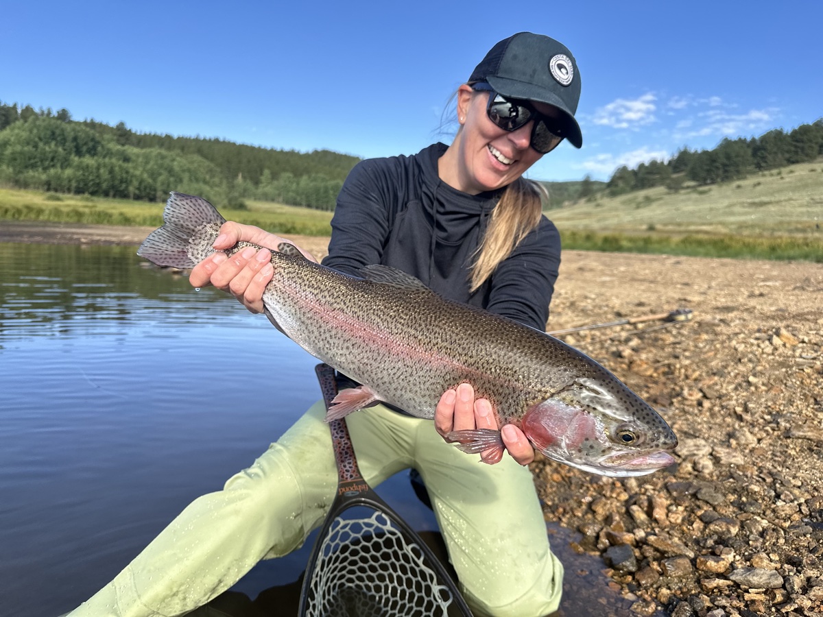 Colorado trout 34