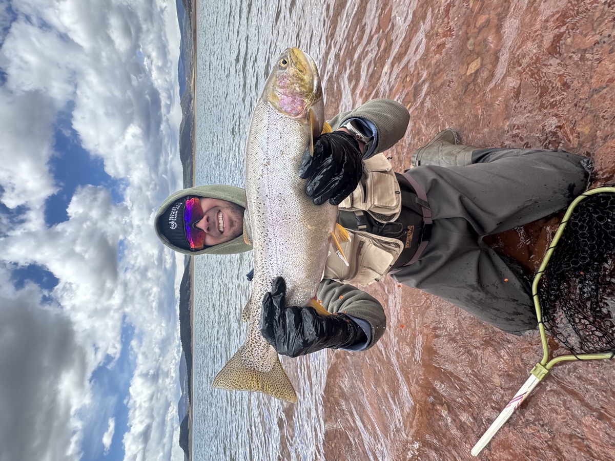 Colorado trout 35