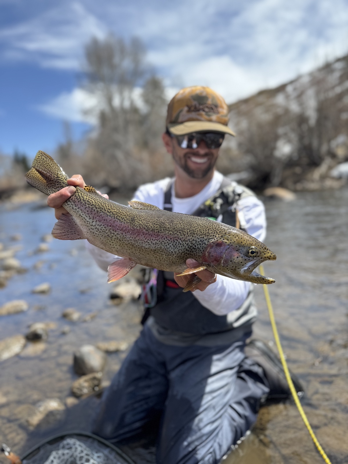 Colorado trout 37