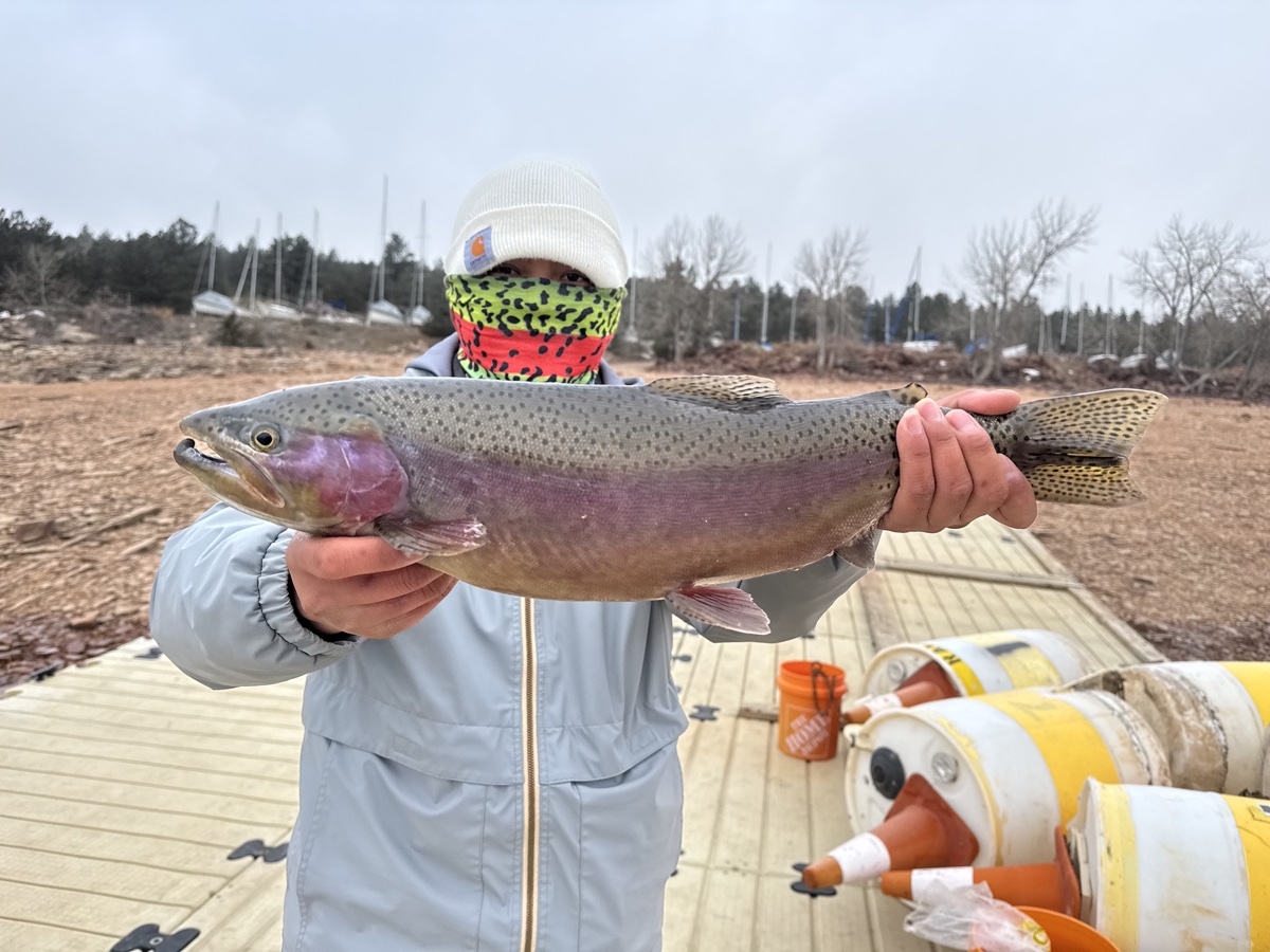 Colorado trout 39
