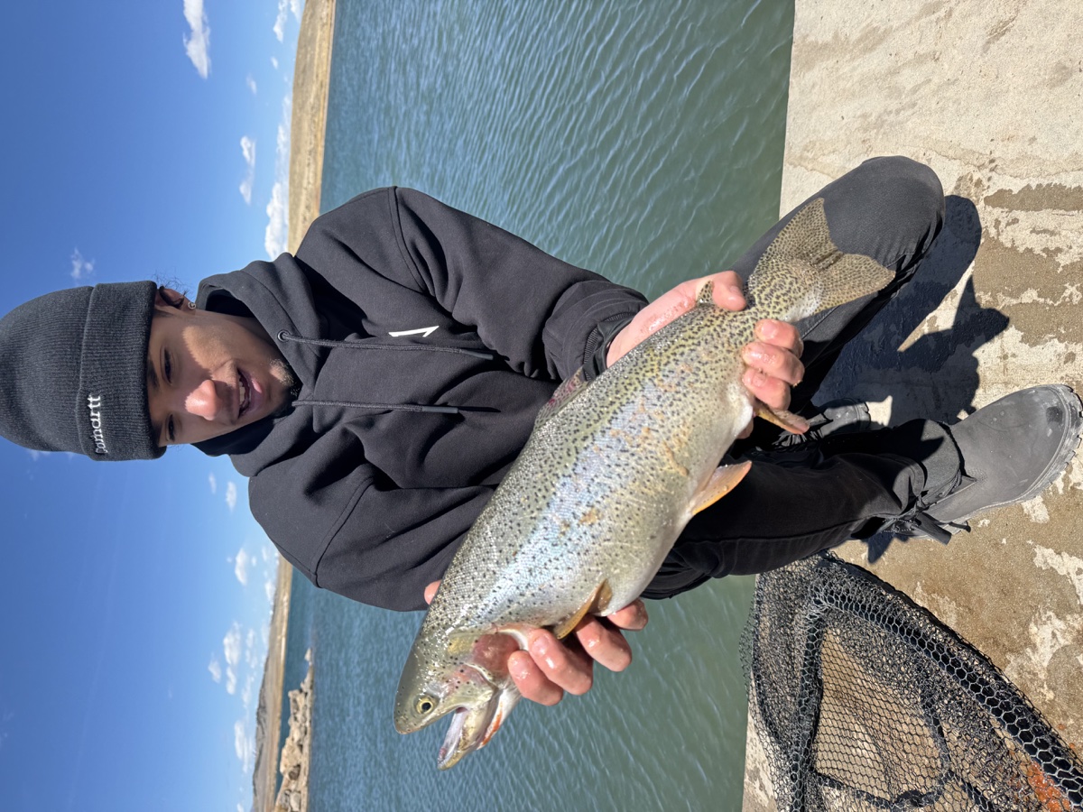 Colorado trout 40