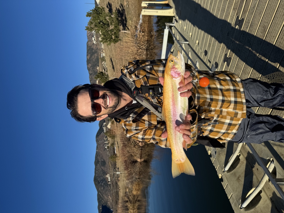Colorado trout 41