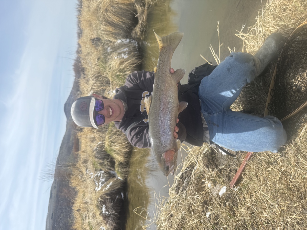 Colorado trout 44