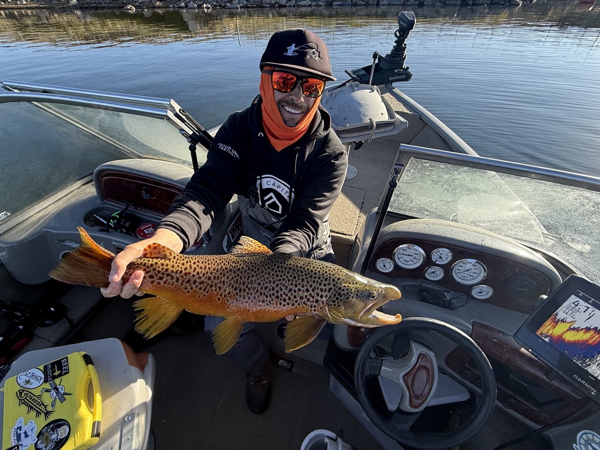 Colorado trout 47