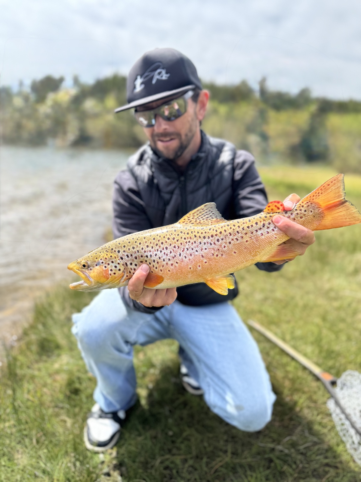 Colorado trout 48
