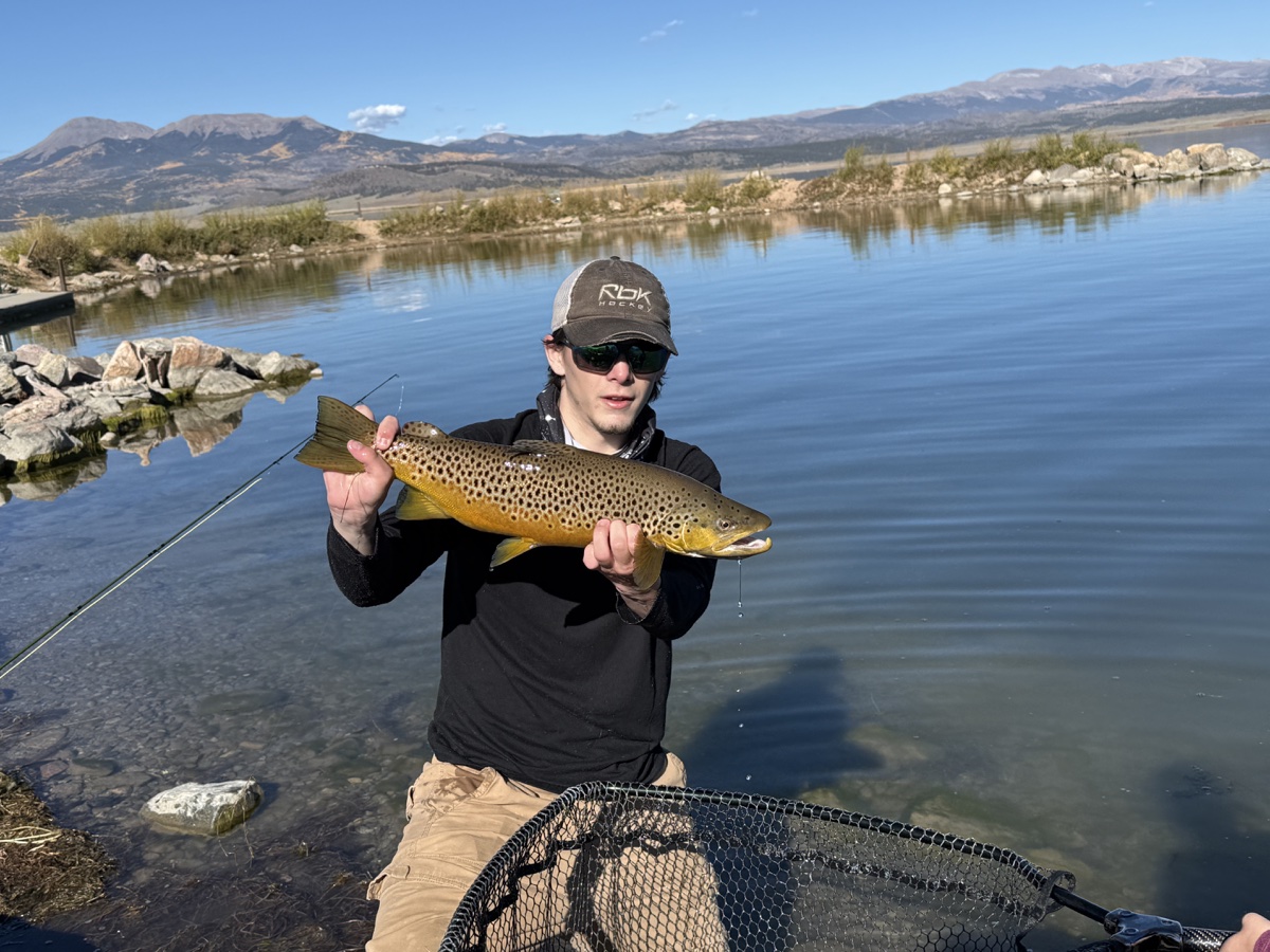 Colorado trout 49