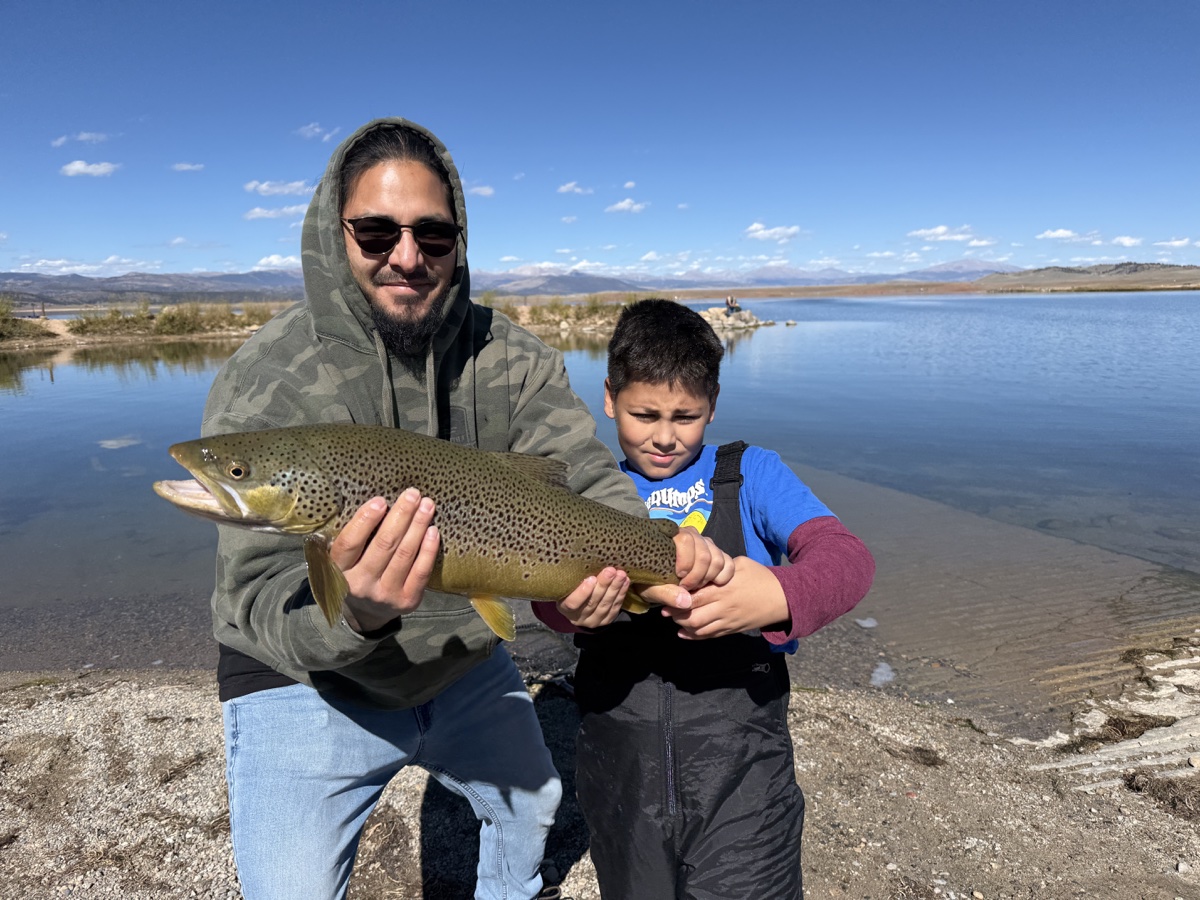 Colorado trout 50