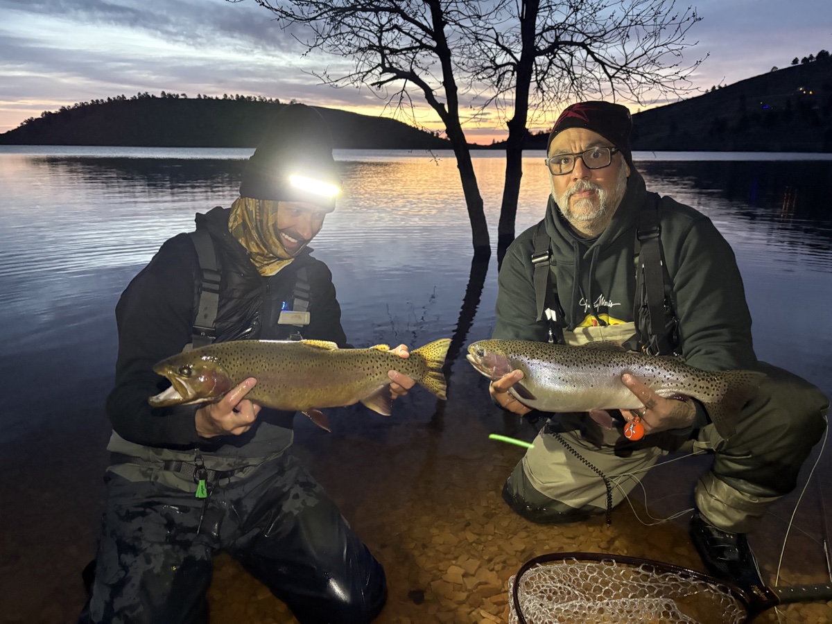 Colorado trout 51