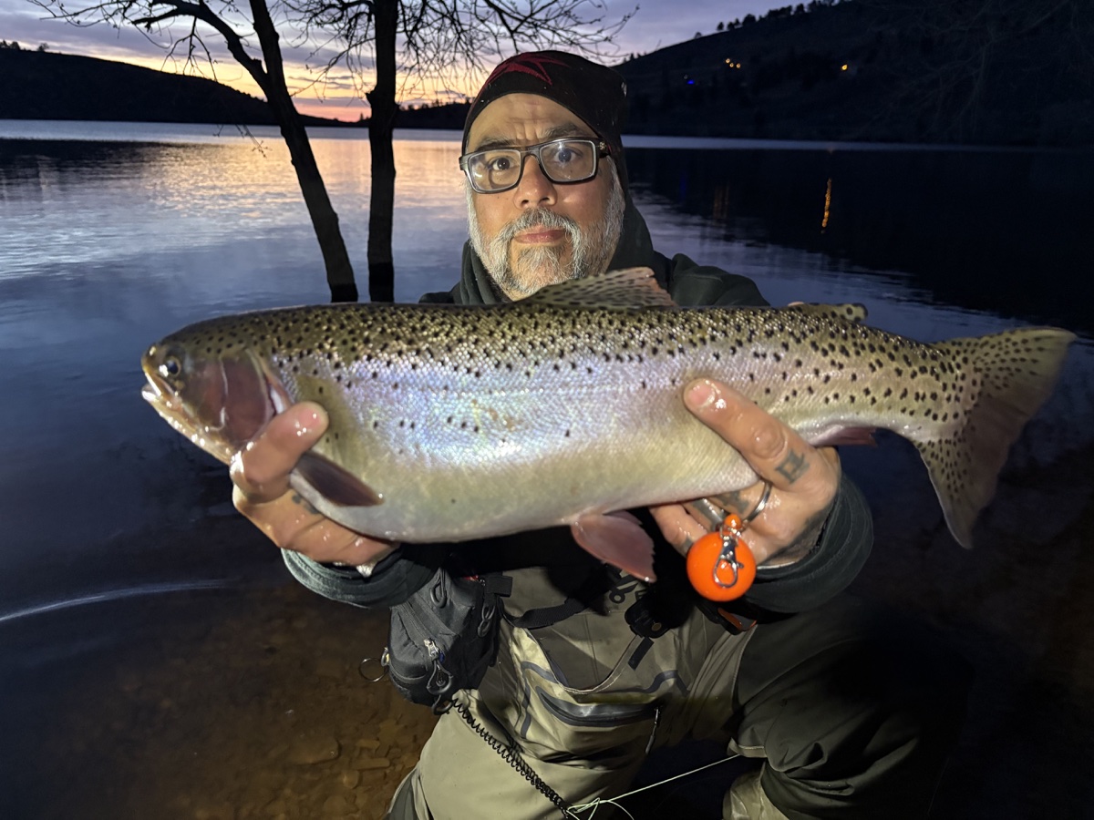 Colorado trout 52