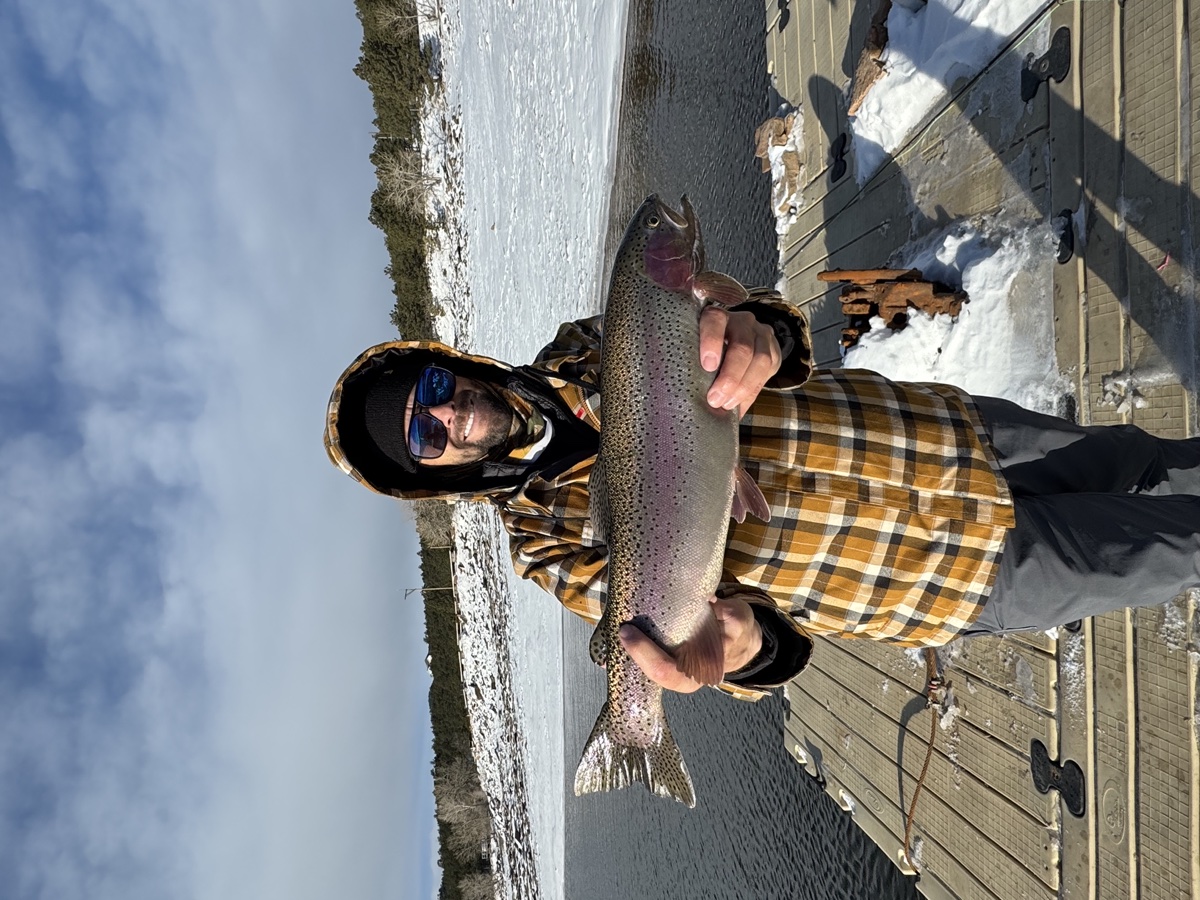 Colorado trout 53
