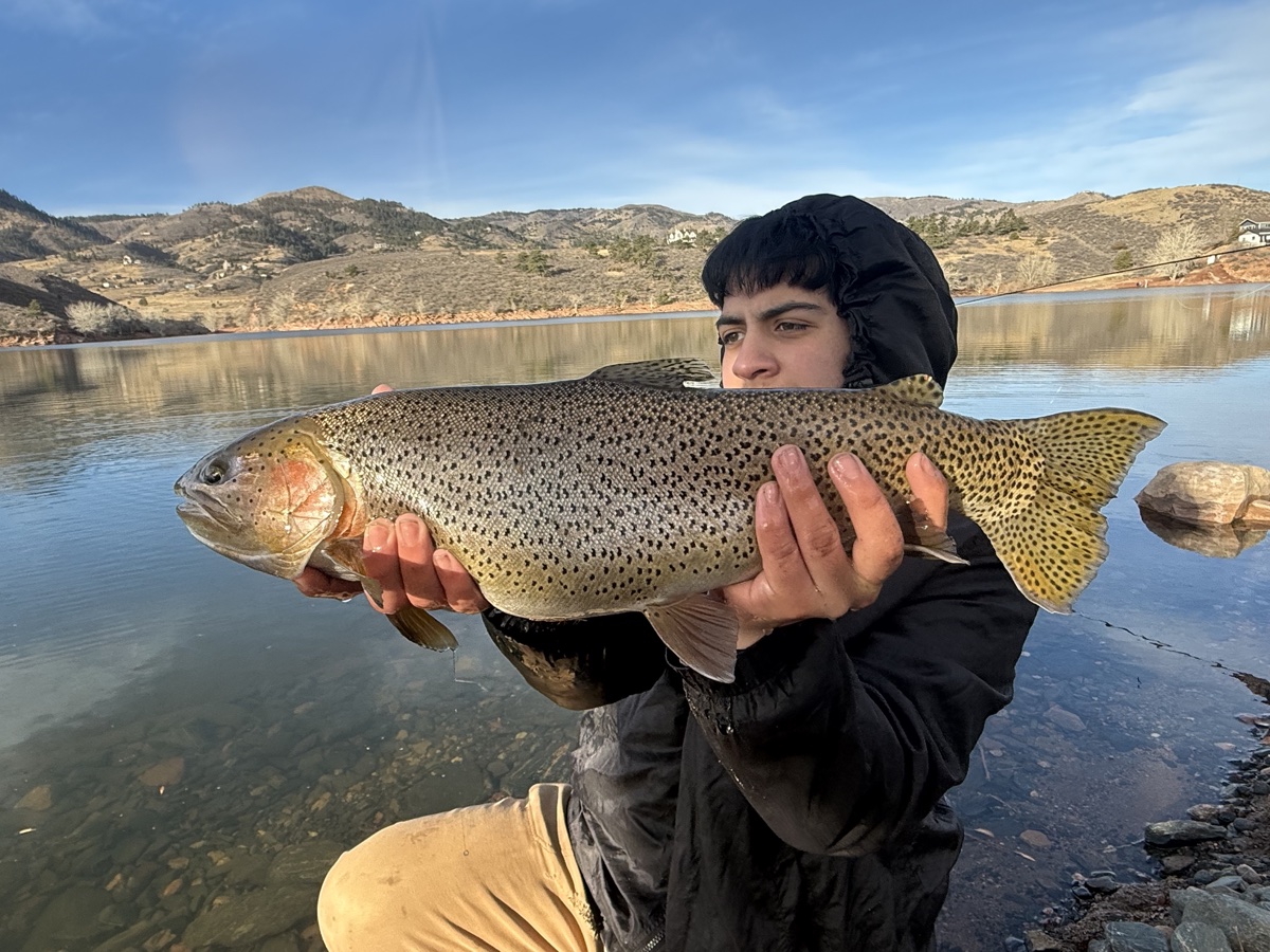 Colorado trout 58