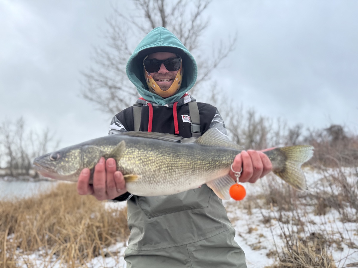 Colorado trout 59