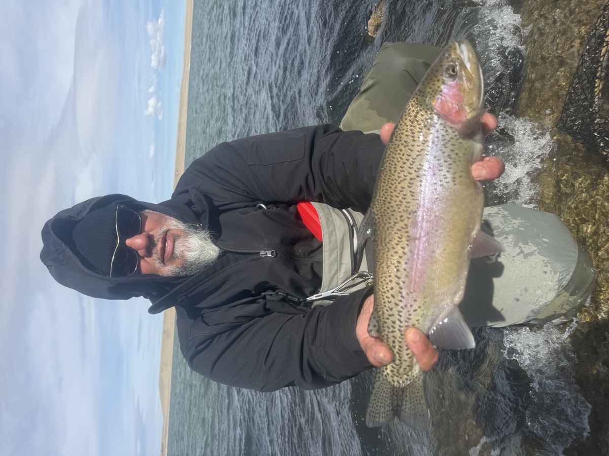 Colorado trout 60