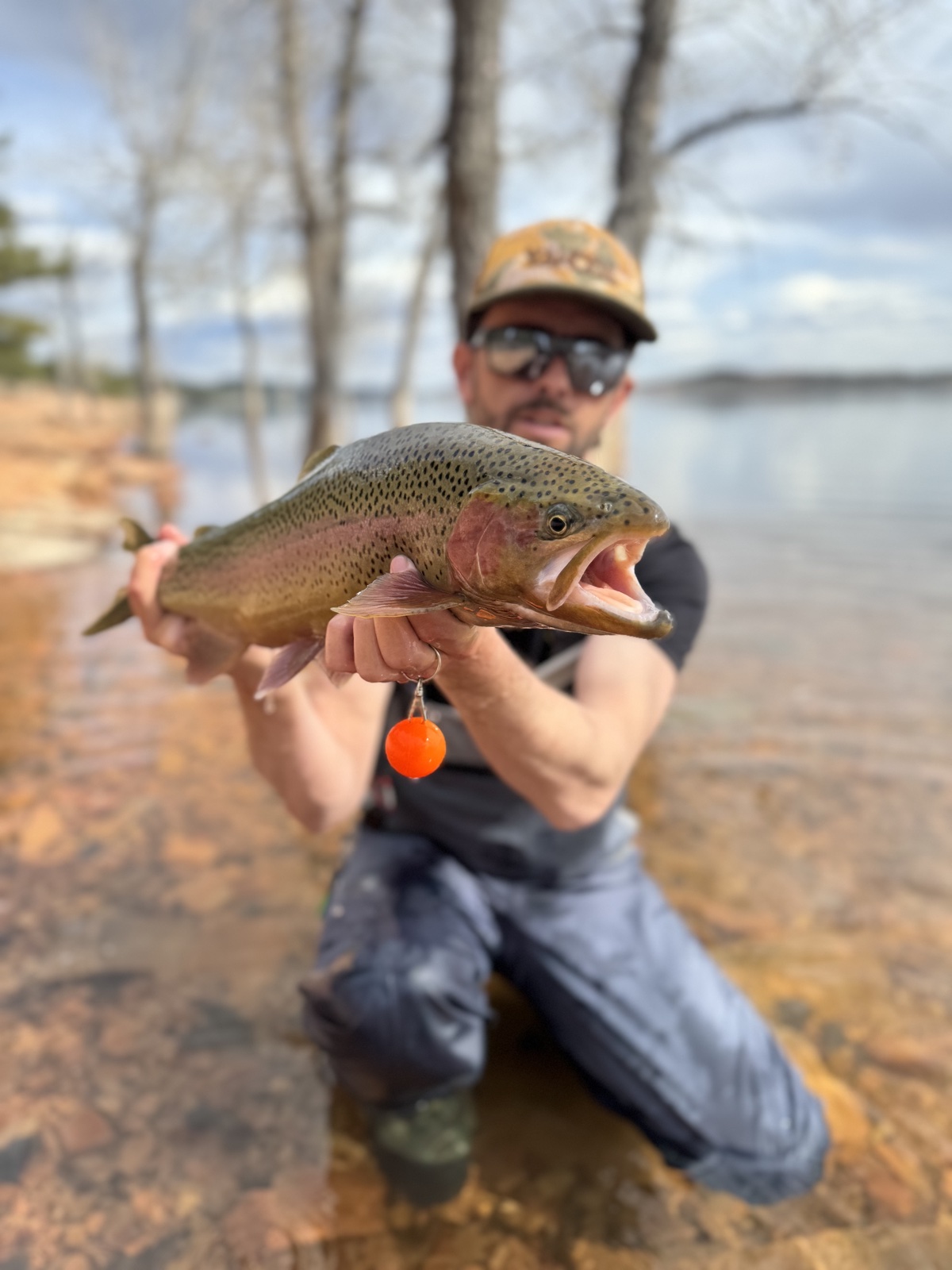 Colorado trout 61