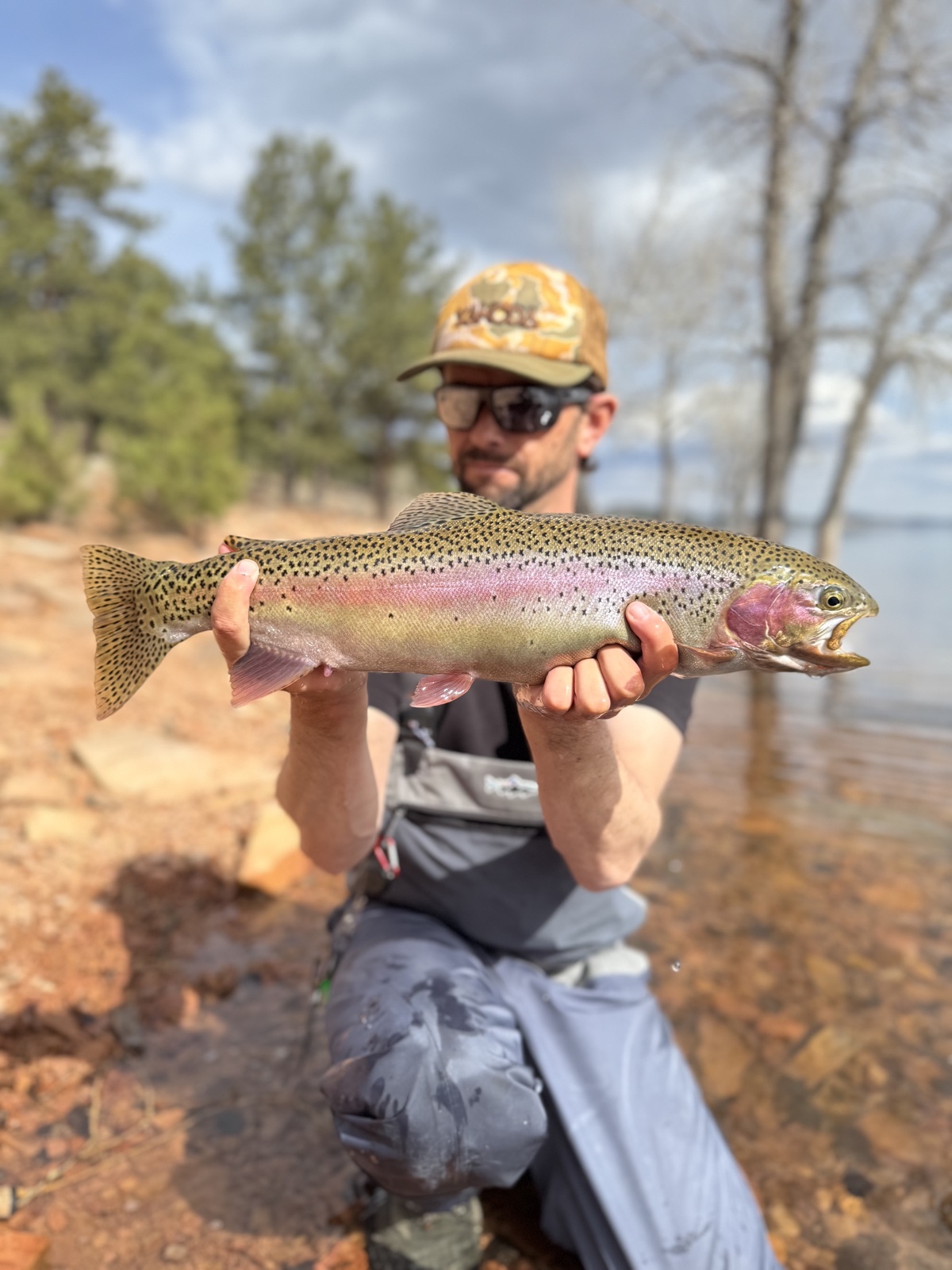 Colorado trout 62