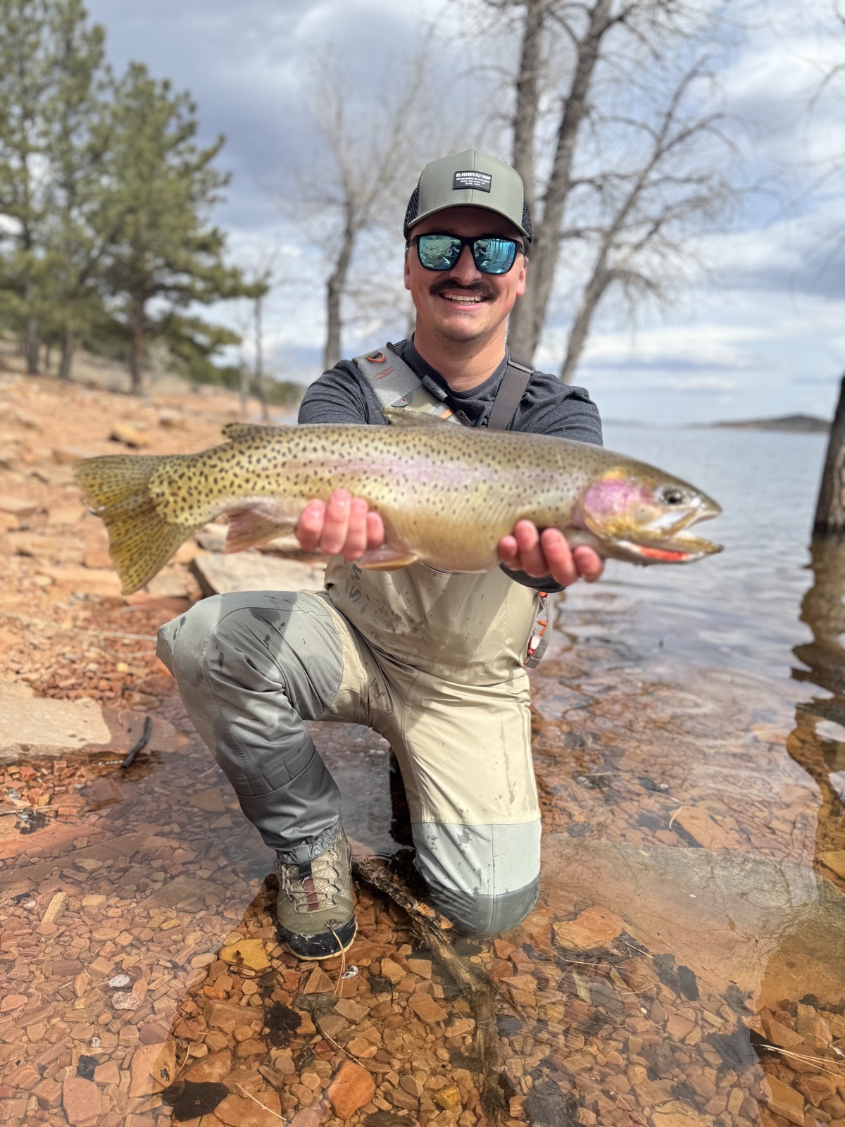 Colorado trout 64