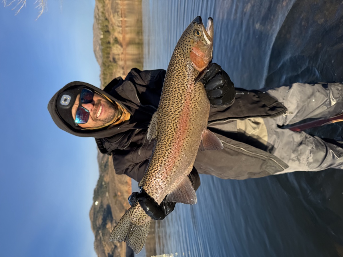 Colorado trout 65